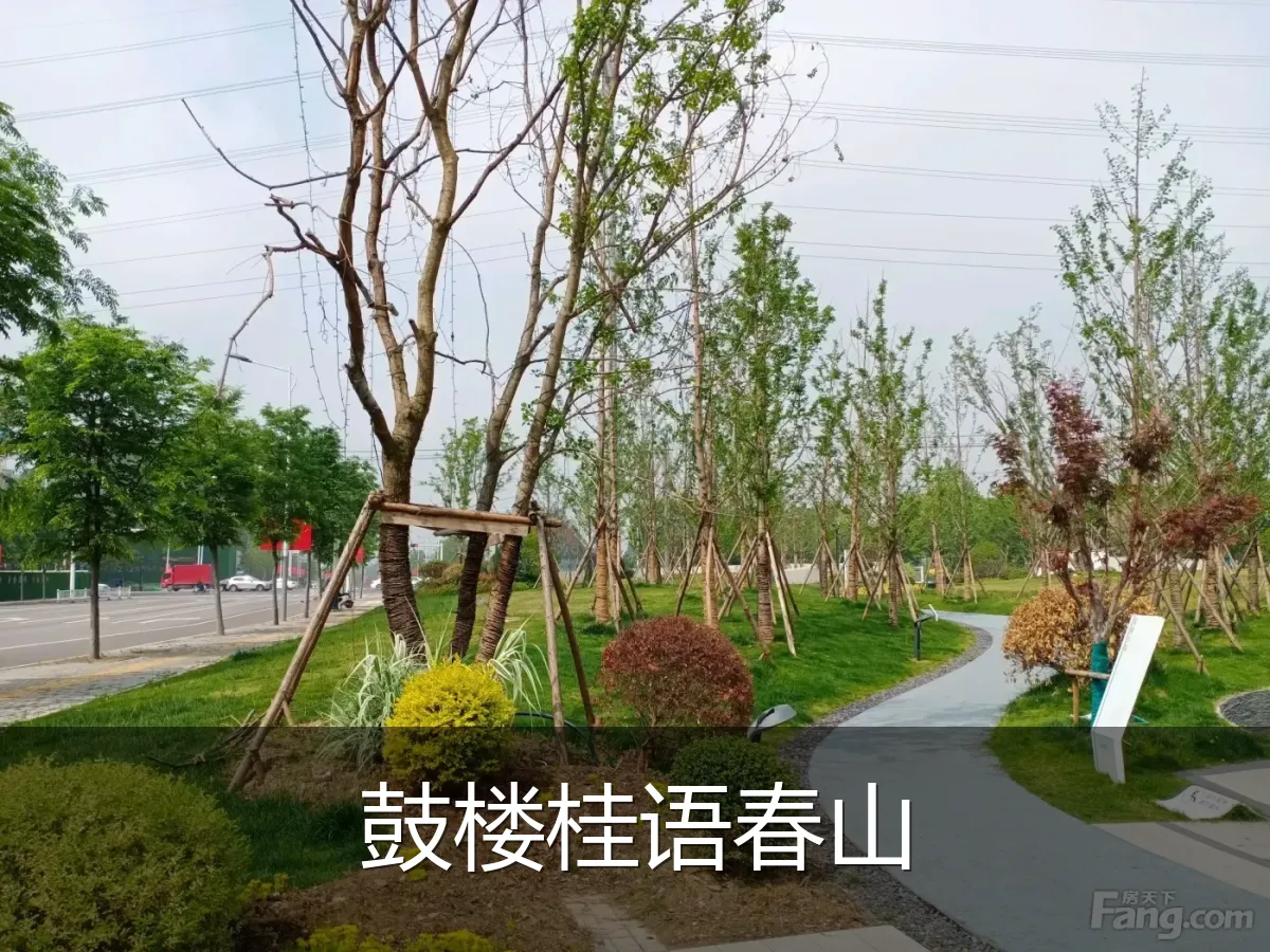 鼓楼桂语春山